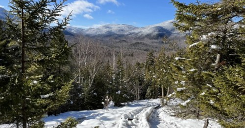 Snow-covered trail to Mount Jo summit in the Adirondack High Peaks. Winter hiking with evergreen trees and mountain views.