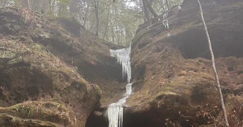 Large icicles hanging from a rocky cliff face in a foggy, wooded ravine.