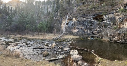 A peaceful shallow creek flows over rocks past a rocky cliffside and dense pine forest under a soft, hazy sky.