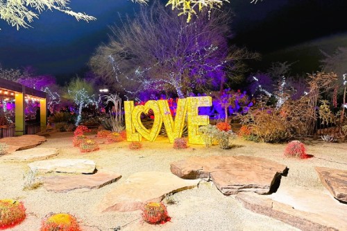 Large love sign with gold lights inside a cactus garden with trees decorated in pink, purple and red lights for the Lights of Love festival in NV
