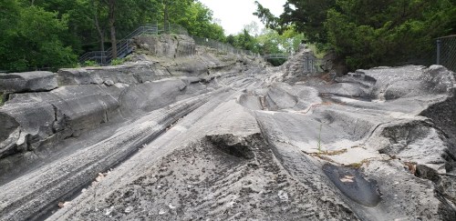 Glacial grooves on Kelleys Island, Ohio, showcasing deep, parallel rock formations carved by ancient glaciers. Surrounded by lush greenery and fenced walkways.
