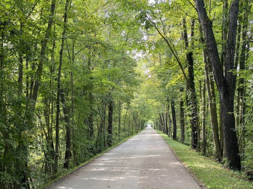 Holmes County Trail in the summer