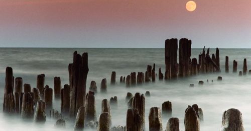 A moon shining over a lake in Illinois.