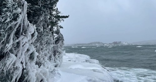 A frozen shoreline features ice-covered trees and crashing waves under a gloomy winter sky.