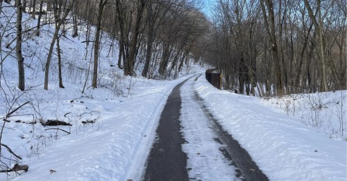 A snow-cleared path winds through a quiet, leafless winter forest under a clear blue sky.