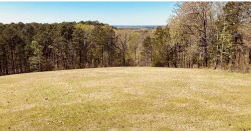 Expansive view from a dry field overlooking a green forest and distant landscape under a blue sky.