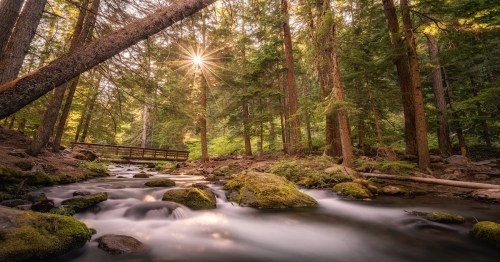 A Bridge found while hiking into Tamanawas Falls, a waterfall in the Mount Hood National Forest in the Pacific Northwest near Hood River and the Columbia River Gorge.