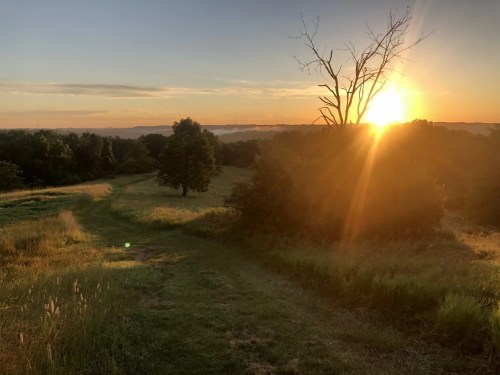Sunset over the rolling hills at The Ridges in Athens, Ohio. Golden sunlight bathes the grassy path and trees, casting long shadows and illuminating a bare, leafless tree in silhouette. The distant ridgelines fade into a hazy horizon under a warm, orange sky.