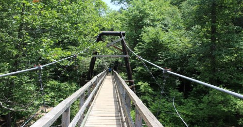 the toccoa swinging bridge in the middle of large forest trees