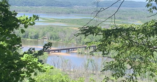 Aerial view of a long railroad bridge spanning a wide river surrounded by lush green wetlands and forested bluffs