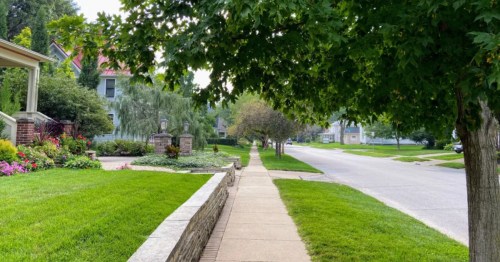 A clean sidewalk stretches past manicured lawns and homes under the shade of leafy trees.
