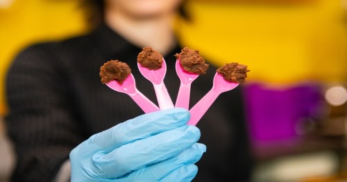 person with a blue latex glove holding four pink spoons with chocolate on them
