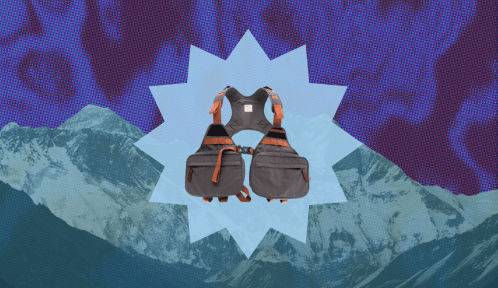 Fishing vest