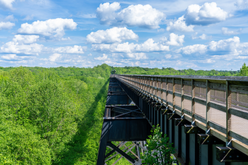 View from the High Bridge in Virginia, with treetops and blue skies with white clouds