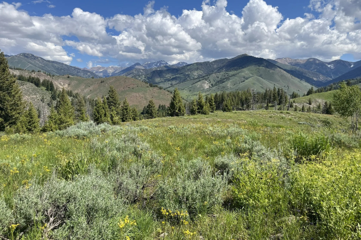 I Live in Idaho and This is My Favorite Weekend Road Trip to Celebrate Spring