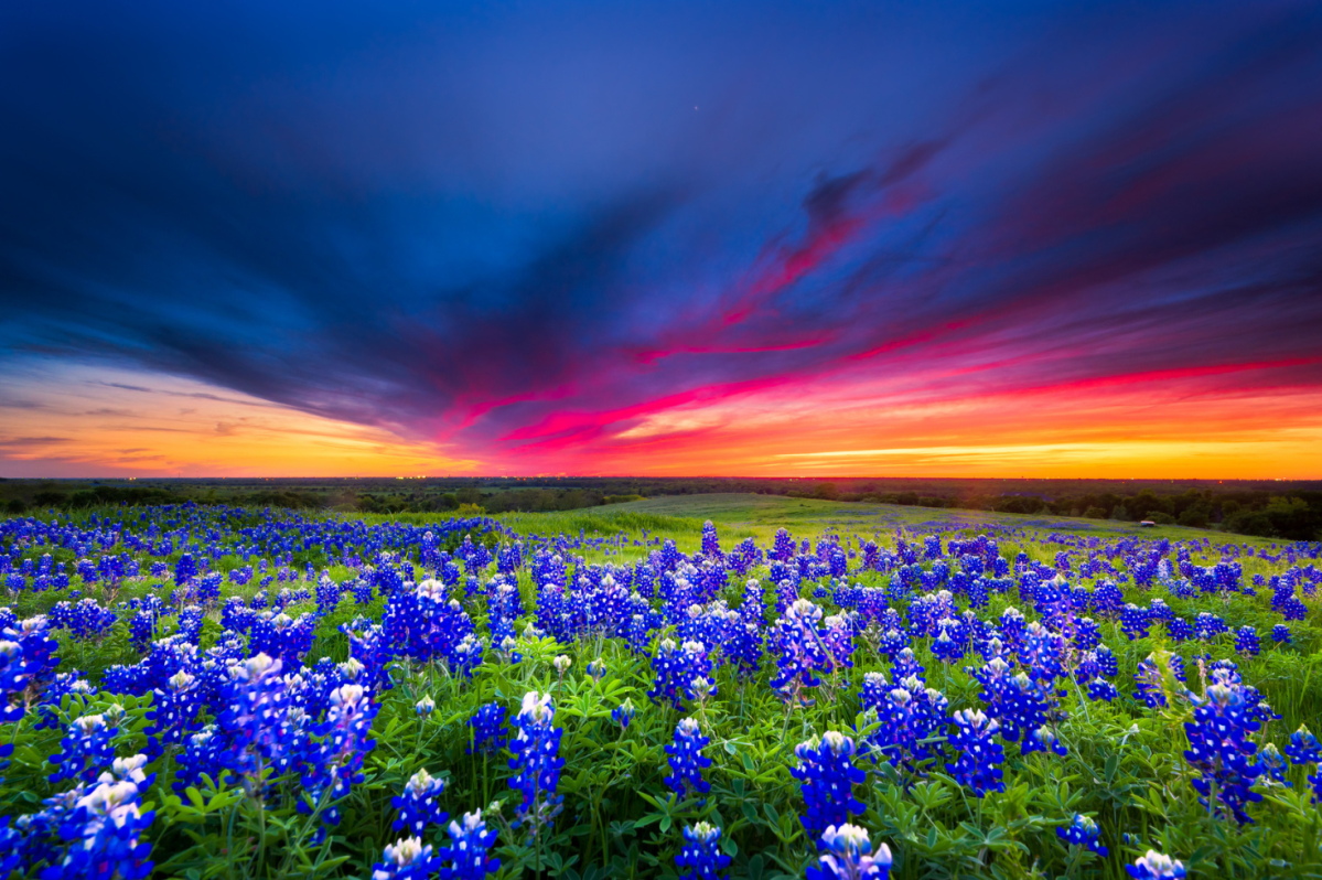 ใช้เวลามากที่สุดของเดือนกุมภาพันธ์โดยเข้าร่วม Mardi Gras! Galveston ในเท็กซัส