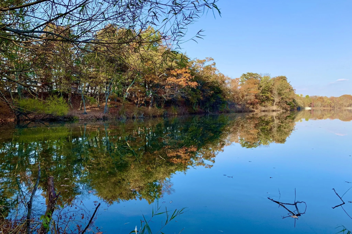Willingboro Lakes Park Underrated Forest In New Jersey willingboro-lakes-park-underrated-forest-in-new-jersey