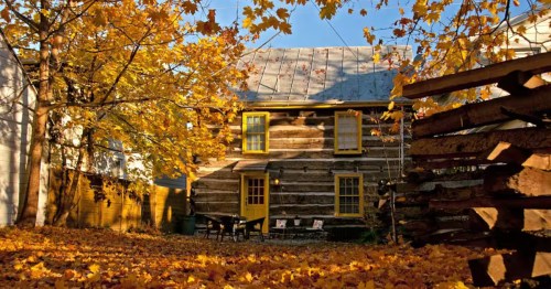 A rustic log cabin with bright yellow trim sits behind a yard blanketed in golden autumn leaves.