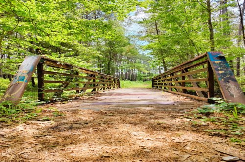 A footbridge with metal railings in a wooded area inside Angelina National Forest in Texas