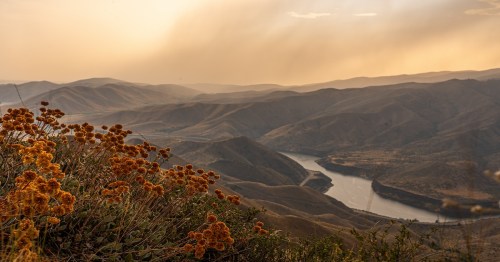 view of the mountains from Idaho State Park with a hazy golden sky in the background and orange flowers on the hill
