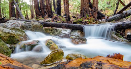 a waterfall on a trail with forest trees in the back at lime kiln state park