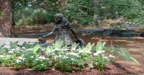 a statue of a little girl watering the plants in a north carolina garden