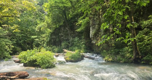 A rushing stream flows past mossy rocks and a tall cliff face in a dense, green Missouri forest.