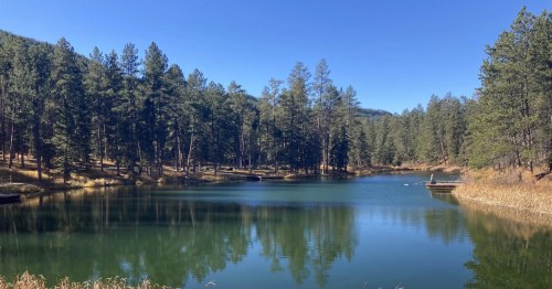 A serene lake reflects tall evergreen trees under a clear blue sky, with a small wooden dock on the right bank.