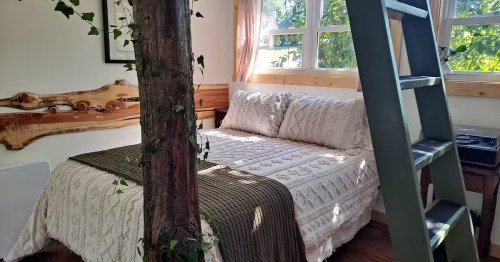 A cozy bedroom with a tree trunk indoors, leafy vines, a textured bedspread, sunlit windows, and a ladder-style shelf.