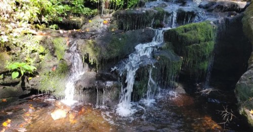 Tiny waterfalls drop over mossy rocks at Salmon River State Forest in Connecticut.