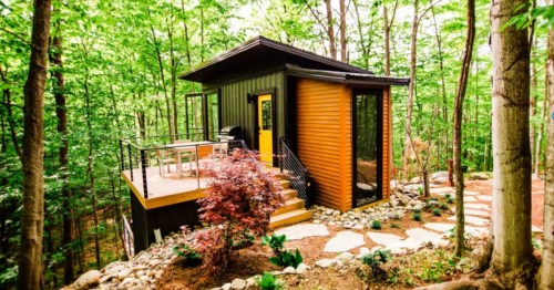 A treehouse Airbnb in Michigan with a small furnished deck and stone pathways, nestled inside a heavily wooded area
