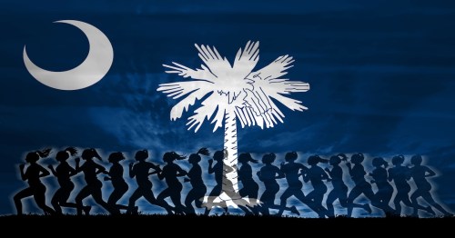 South Carolinaa women struggle for rights, concept of women, independence, equality, South Carolina women strength concept