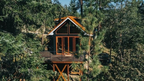 wooden treehouse with an a line frame in the middle of forest trees