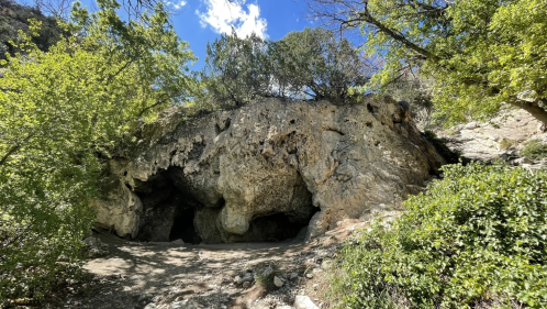a photo of a cave in new mexico surrounding by green trees and a blue sky above