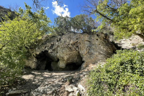 a photo of a cave in new mexico surrounding by green trees and a blue sky above