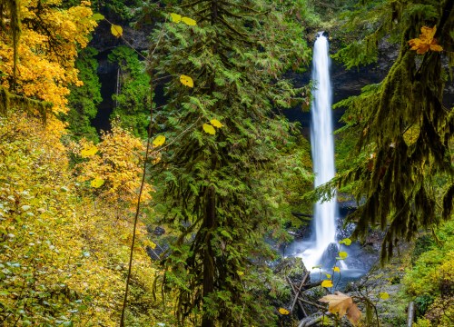 North Falls cascade with fiery fall foliage behind misty walk-behind path
