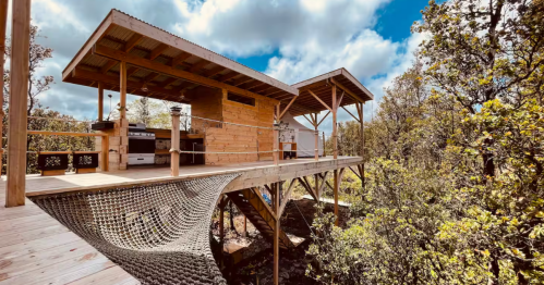 A platform elevated into the canopy contains a quaint, wood-clad living area.