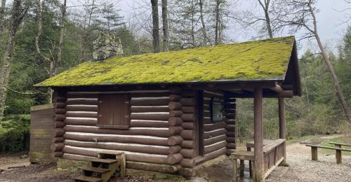 A small wooden cabin with moss on the roof.