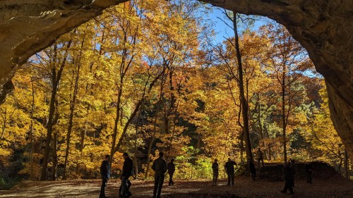 Forest of orange and yellow trees in autumn with people standing in the midground at Ottawa Canyon