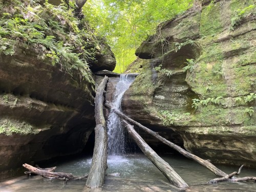 Green moss covered rocks surrounding the waterfall in Ottawa Canyon State Park