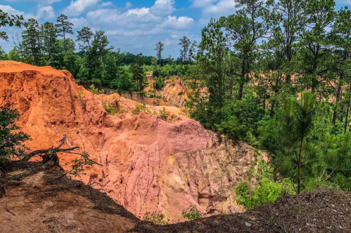 Scenic view of Red Bluffs in Mississippi on a canyon hike
