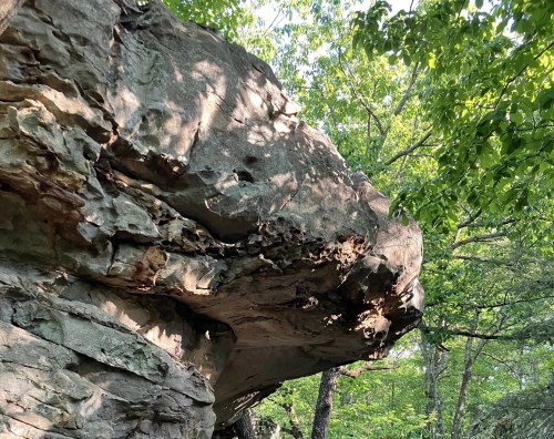 A large boulder with an overhang, with trees and woods in the background.
