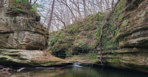 A small canyon with a river running through it and fallen trees.
