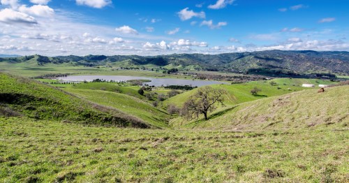 Green rolling hills and a small lake in the background near Vacaville, California.