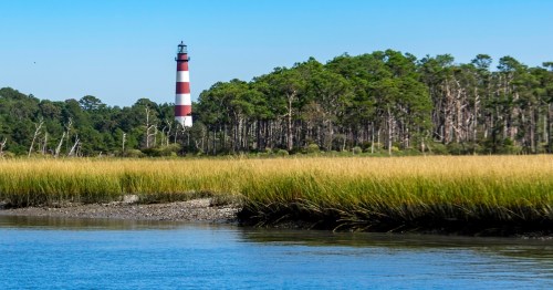 View across a coastal marsh towards the iconic red and white striped lighthouse on Assateague Island.