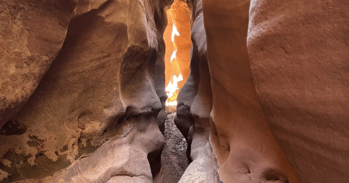 Sunlight illuminates the narrow, wavy sandstone walls of a slot canyon on Bighorn Canyon Trail, Utah.