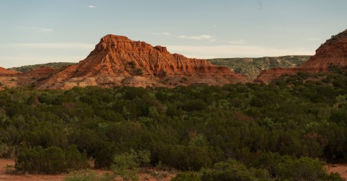 large canyon and mountain in the background next to hundreds of forest trees