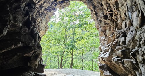 A view from the inside of a cave in North Carolina looking out toward the forest.
