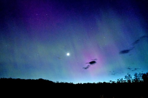 alt