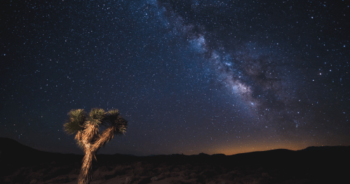 a joshua tree stands alone in the desert under the milky way at night at death valley national park in southern california